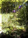 u23f01.jpg (62680 byte)