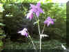 u23f02.jpg (42414 byte)