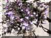 u23f09.jpg (54508 byte)