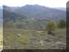 u57f02.jpg (26689 byte)