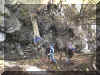 u62f05.jpg (57577 byte)