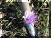 u091f00.jpg (35392 byte)