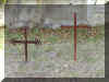 u091f72.jpg (43657 byte)