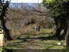 u093f09.jpg (61239 byte)