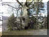 u095f42.jpg (65130 byte)
