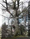 u095f43.jpg (67549 byte)